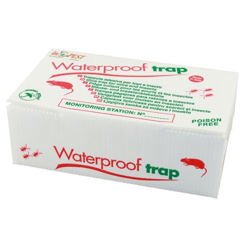 Capcana Statie Intoxicare cu Adeziv